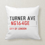 turner ave   Pillows