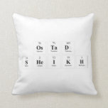 Ostad
 Sheikh  Pillows