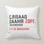C.risaaq daahir  Pillows