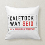 caletock  way  Pillows