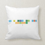 COMO TE TRATA EL DIA
 CHINCHU? 
   Pillows