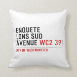 enquete  lons sud  avenue  Pillows