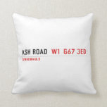 Ash road   Pillows