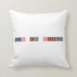 Paul and janiece  Pillows
