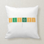 success
   Pillows