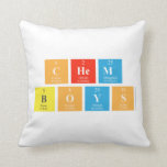 Chem
 Boys  Pillows