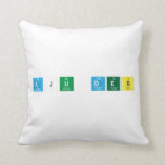 Aju Deb  Pillows