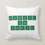Ashraful
 Alam
 Shemul  Pillows