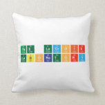 The Lacroix 
 Laboratory  Pillows