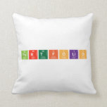 PORTFOLIO  Pillows