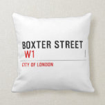 Boxter Street    Pillows