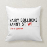hairy bollocks fanny st  Pillows