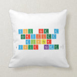 you are a 
 certified
 djster
 (your name)  Pillows