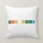 Eric perez  Pillows
