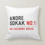ANDRE SOKAK  Pillows