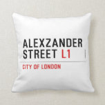 alexzander Street  Pillows