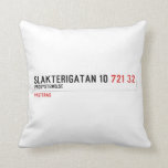 Slakterigatan 10  Pillows