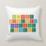 alternate
 history
 barbeque
 tonight  Pillows