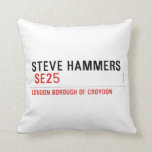 steve hammers   Pillows