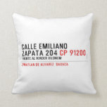 CALLE EMILIANO  ZAPATA 204  Pillows