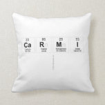 Carmi
   Pillows