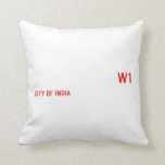 Rayyan Raza  Pillows