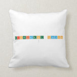 EXPERIMENT STATION
   Pillows