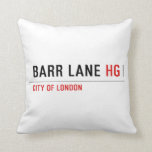 Barr Lane  Pillows