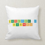 Building A
 Business  Pillows