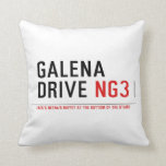 galena Drive  Pillows