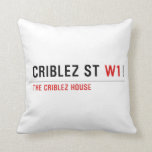 Criblez st  Pillows
