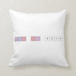 Class of 2018  Pillows