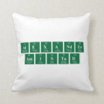Alexander 
 Amistad  Pillows