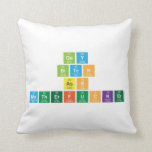 Gay
 Bitch
 Ass
 MotherFucker  Pillows