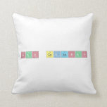 Sean Callahan  Pillows