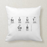 SCOUT
 CUB  Pillows