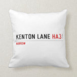 Kenton Lane  Pillows