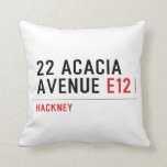 22 ACACIA AVENUE  Pillows