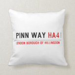 Pinn Way  Pillows