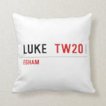 LUKE   Pillows
