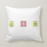 u S ES  Pillows