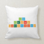 Los 
 Leones 
 cientificos   Pillows