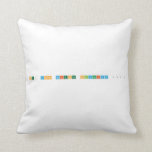 St. Ann Science Olynpiad 2017  Pillows