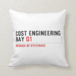 Cost Engineering Bay  Pillows