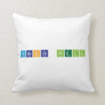 REBECCA SNELL  Pillows