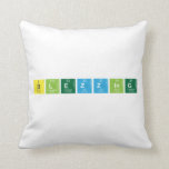 Blezzing  Pillows
