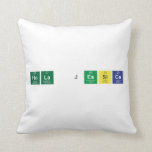 hola jessica  Pillows