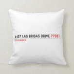 6407 Las Brisas Drive  Pillows