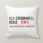 153 CROMWELL ROAD    Pillows