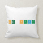 Send nudes  Pillows